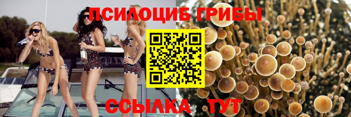 Галлюциногенные грибы мухоморы Омск